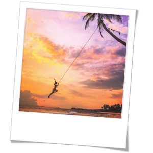 travel influencer : palm tree rope swing