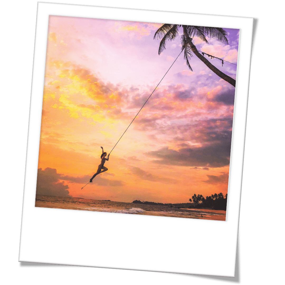 travel influencer : palm tree rope swing